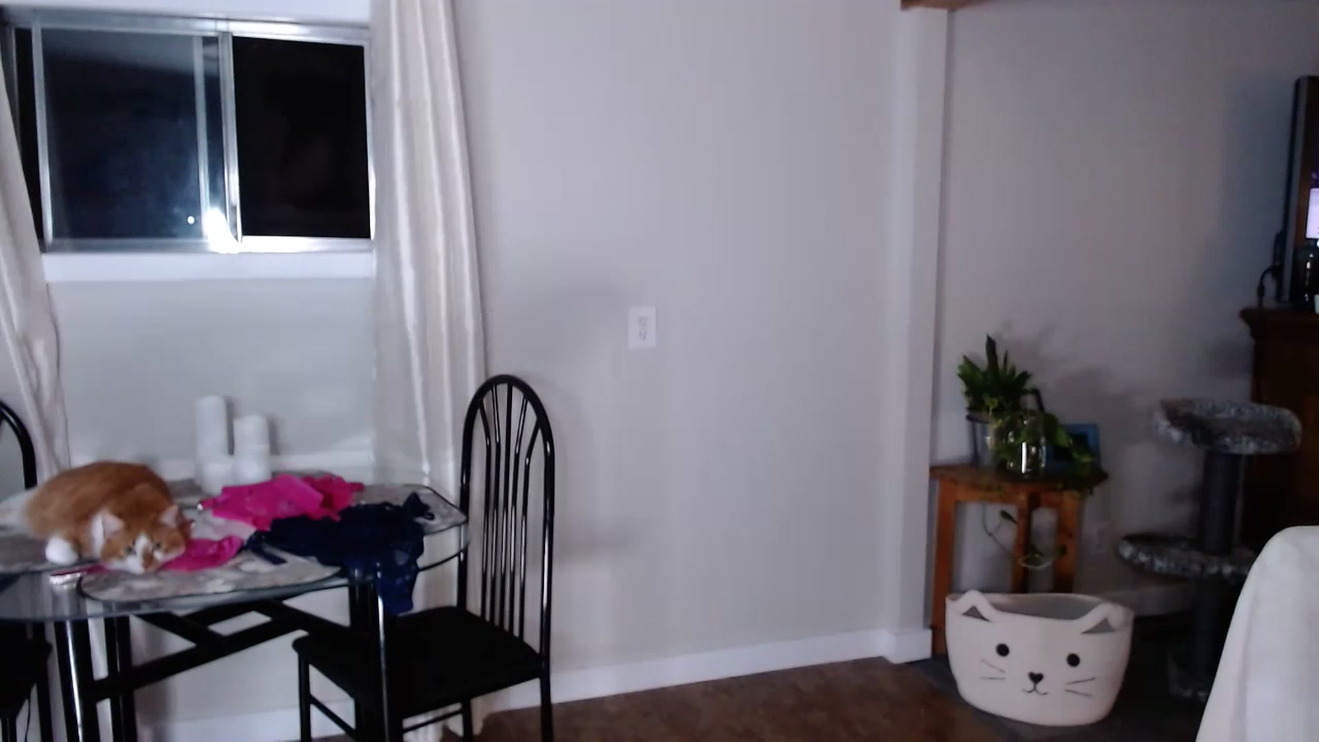 Gallery image thumbnail from KellyHeart's myfreecams stream on, 07/08/2023, 02:45 image 18 of 20