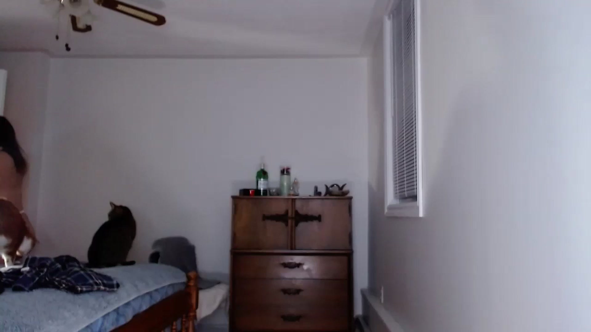 Gallery image thumbnail from KellyHeart's myfreecams stream on, 11/25/2023, 06:13 image 10 of 20
