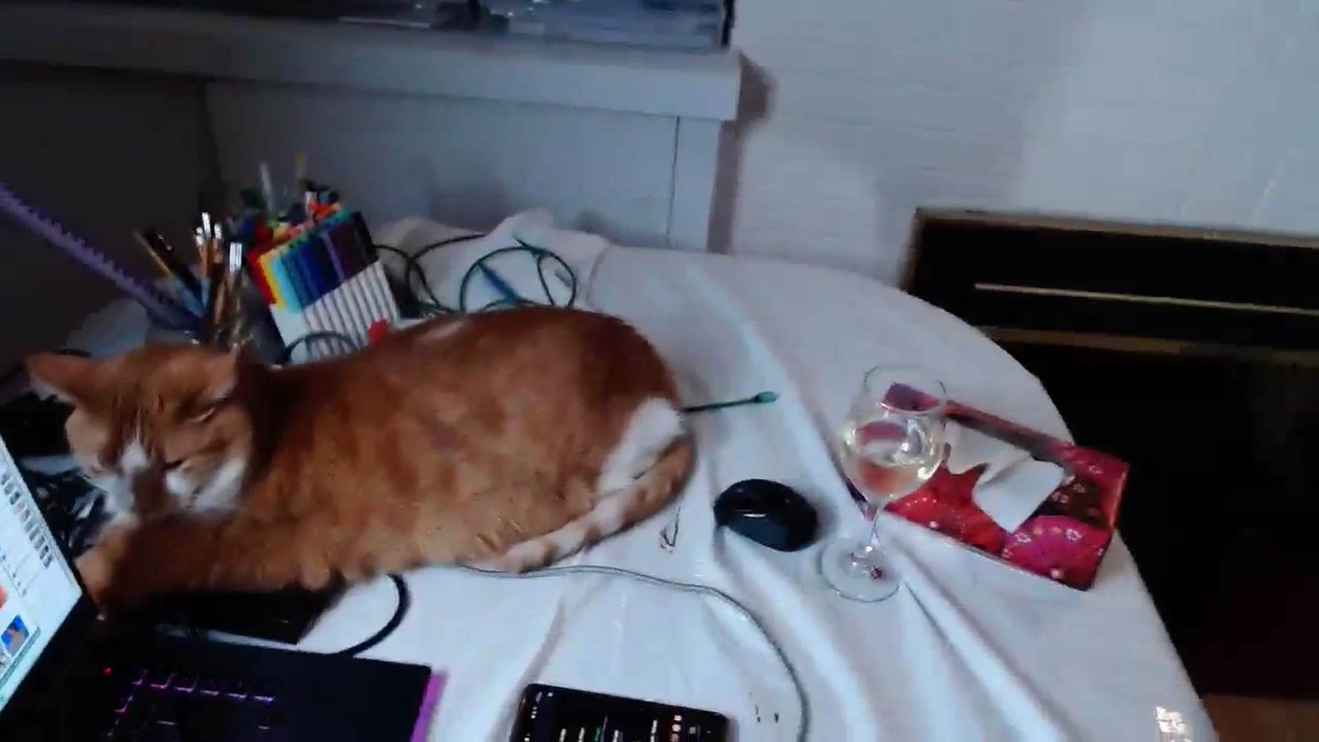 Gallery image thumbnail from KellyHeart's myfreecams stream on, 01/13/2024, 06:49 image 18 of 20