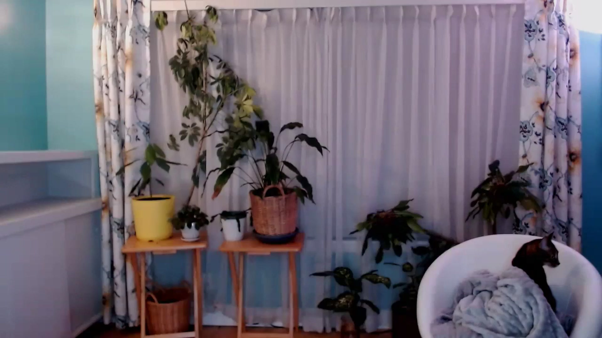 Gallery image thumbnail from KellyHeart's myfreecams stream on, 02/03/2024, 07:55 image 3 of 20