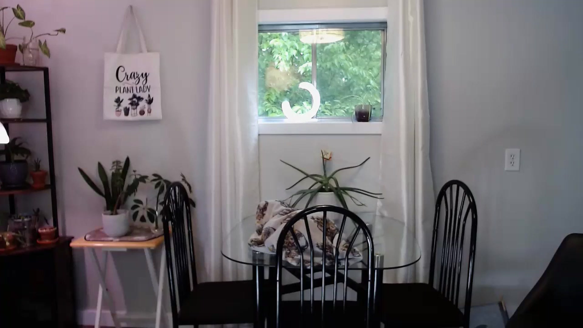 Gallery image thumbnail from KellyHeart's myfreecams stream on, 06/08/2024, 19:21 image 2 of 20