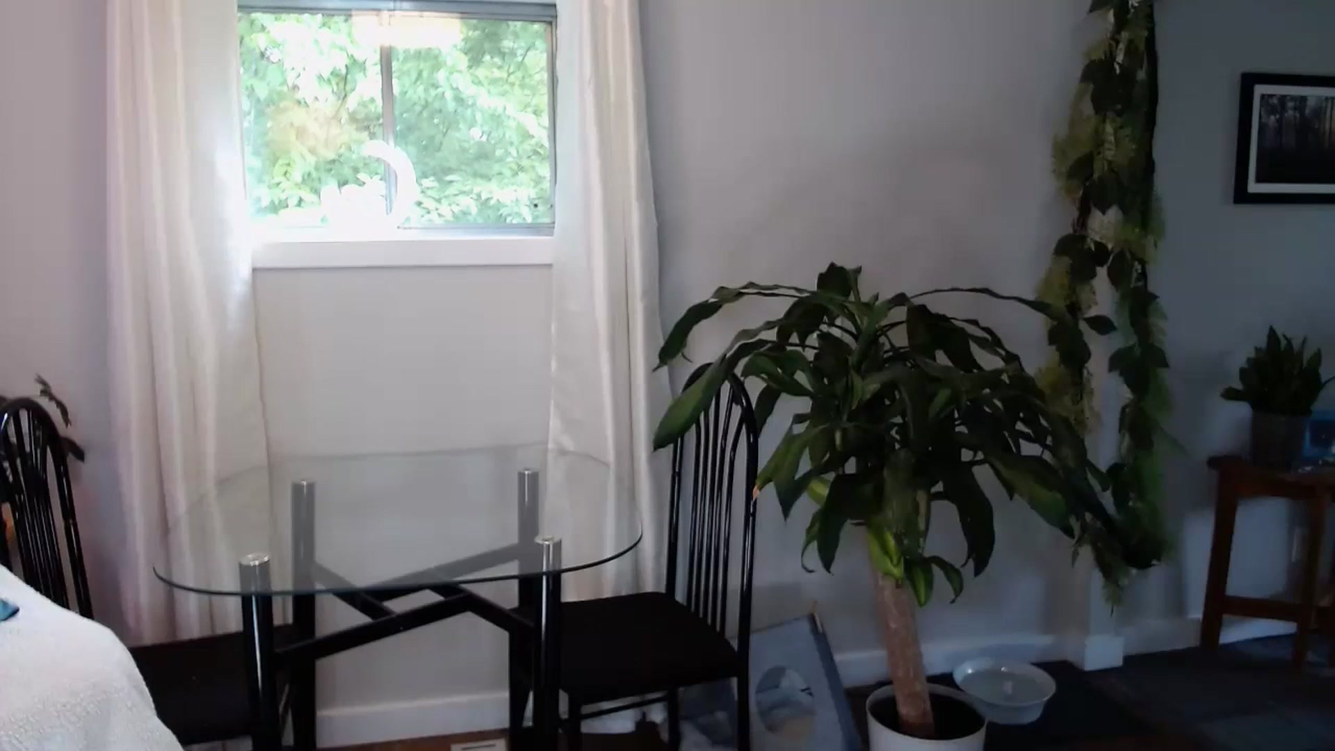 Gallery image thumbnail from KellyHeart's myfreecams stream on, 06/08/2024, 19:21 image 20 of 20