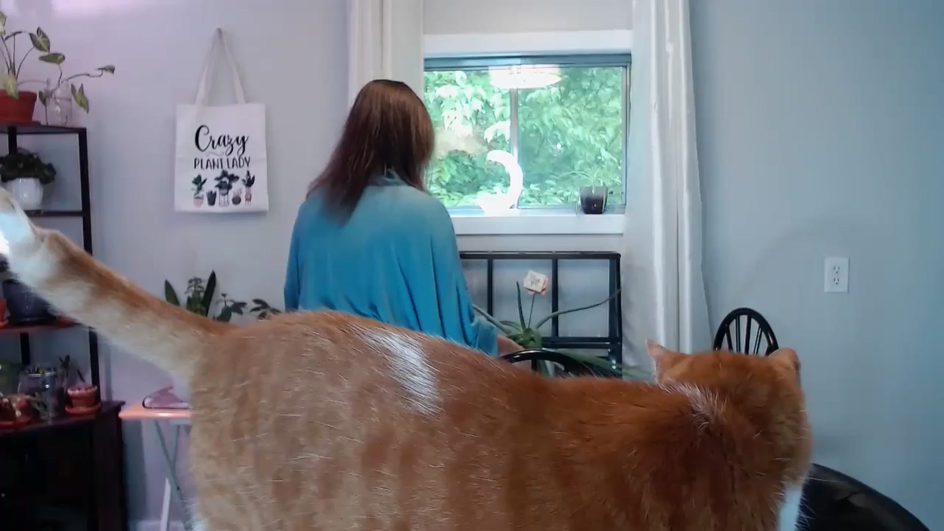 Gallery image thumbnail from KellyHeart's myfreecams stream on, 06/08/2024, 19:21 image 1 of 20