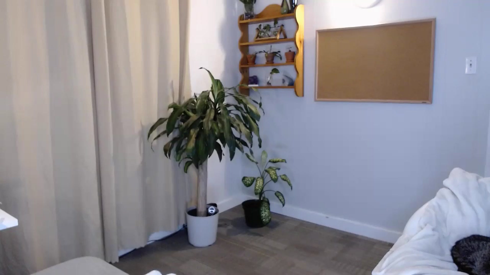 Gallery image thumbnail from KellyHeart's myfreecams stream on, 07/20/2024, 07:35 image 1 of 20