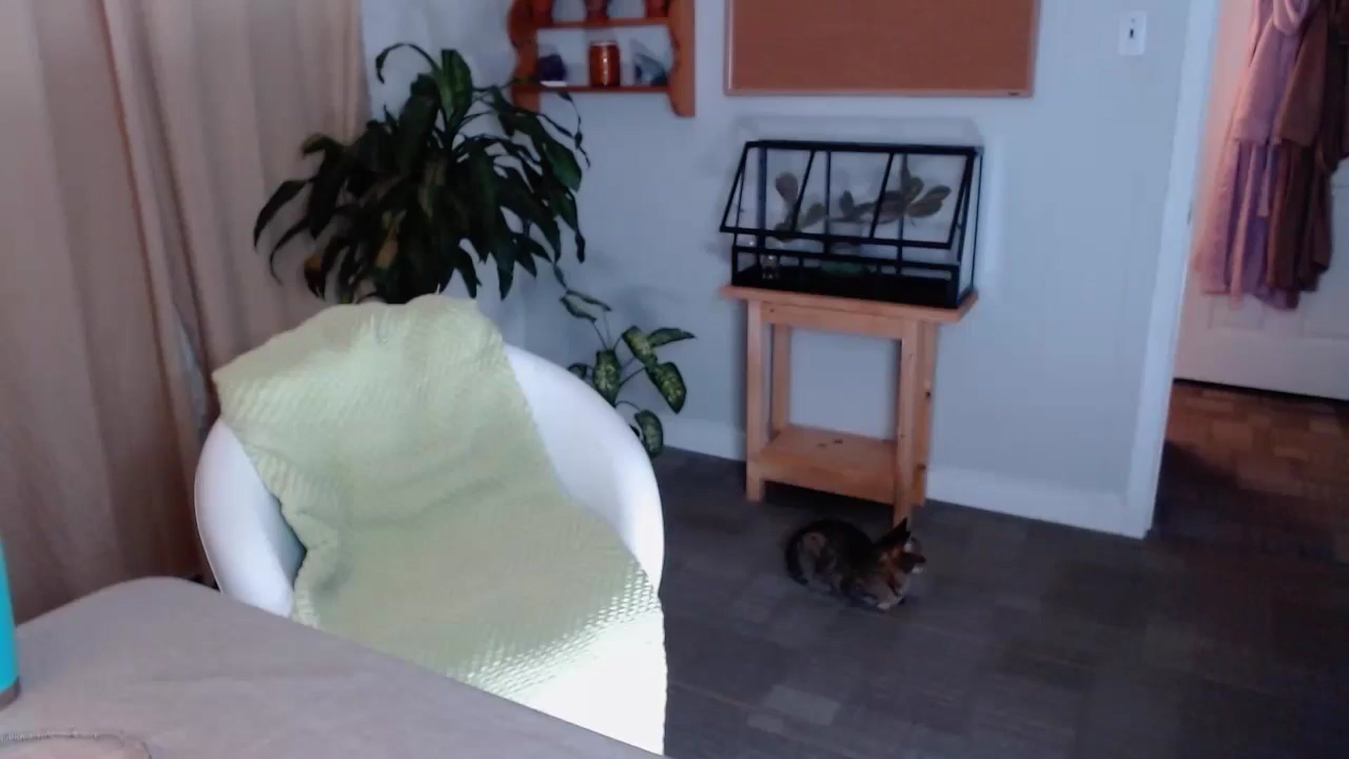 Gallery image thumbnail from KellyHeart's myfreecams stream on, 08/03/2024, 03:07 image 8 of 20