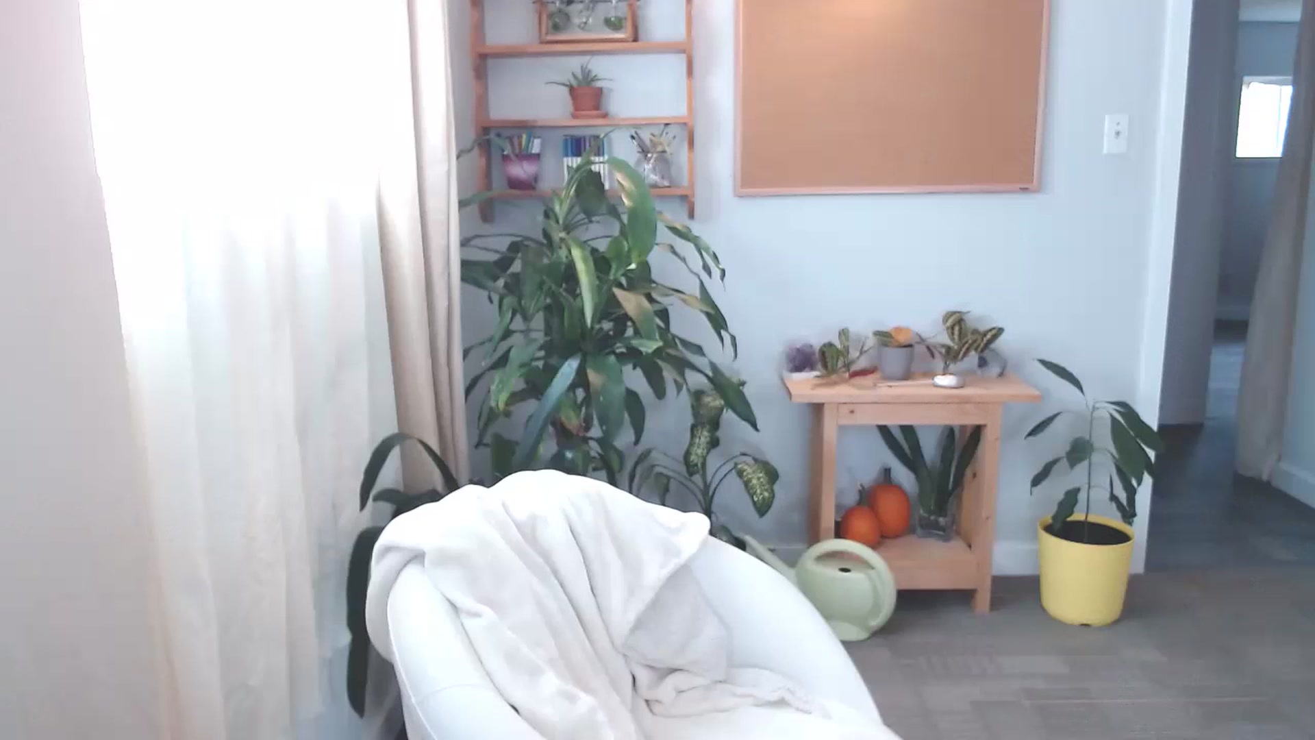 Gallery image thumbnail from KellyHeart's myfreecams stream on, 11/16/2024, 16:14 image 5 of 20