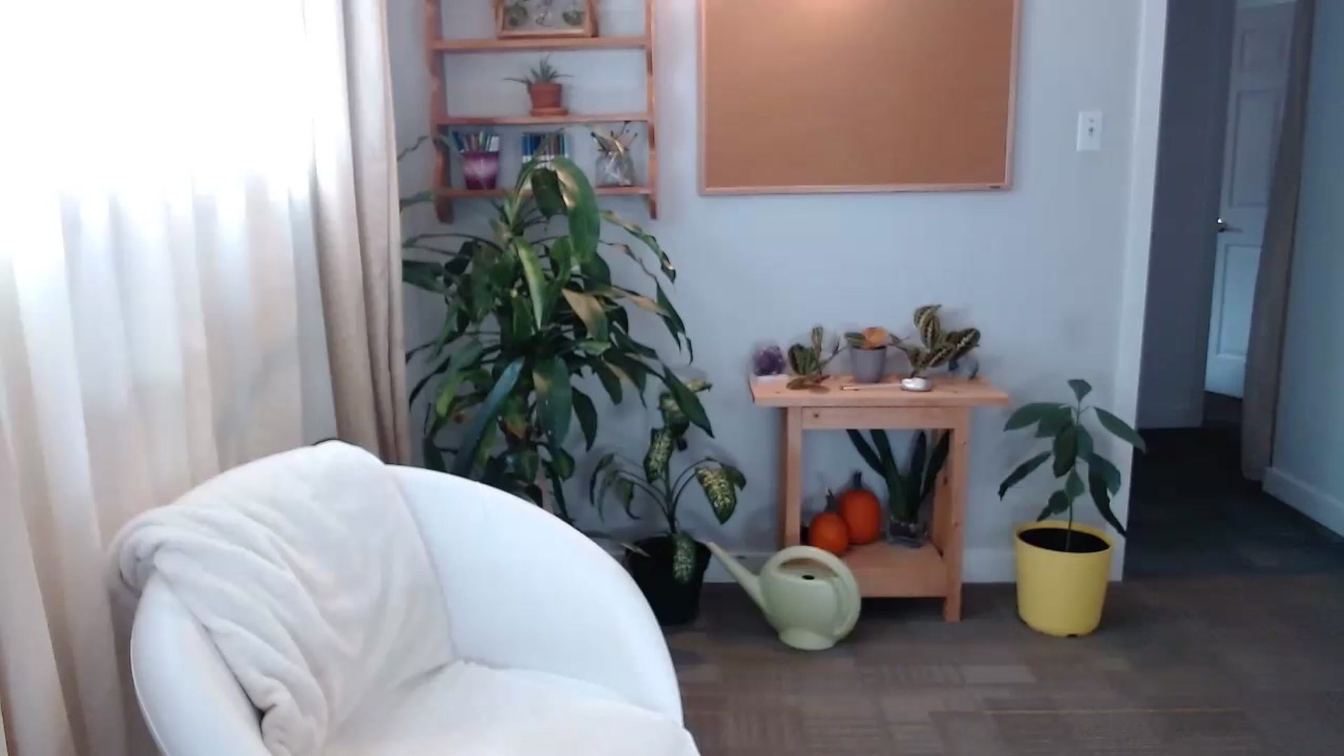 Gallery image thumbnail from KellyHeart's myfreecams stream on, 11/16/2024, 20:41 image 7 of 20