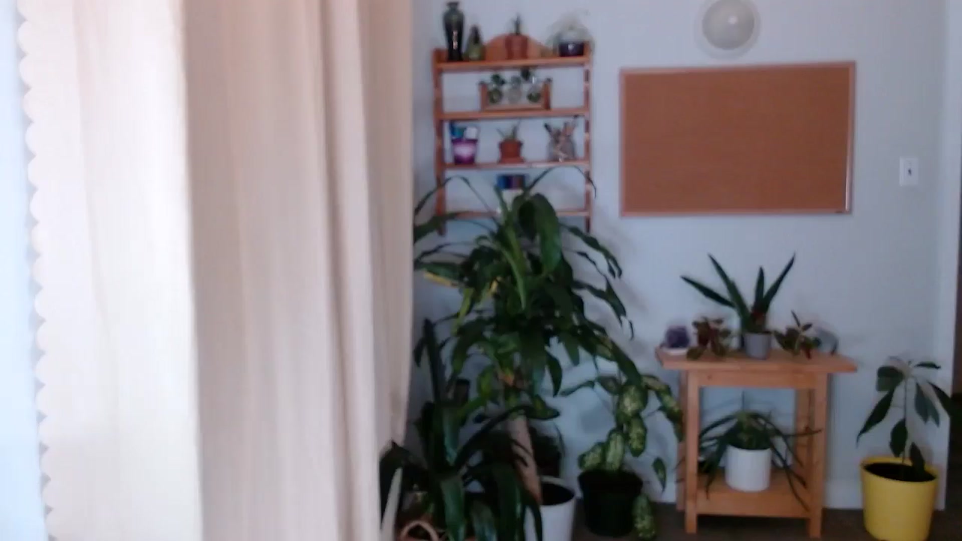 Gallery image thumbnail from KellyHeart's myfreecams stream on, 01/11/2025, 07:32 image 13 of 20