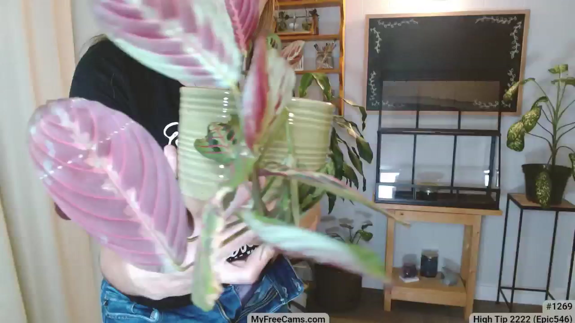 Gallery image thumbnail from KellyHeart's myfreecams stream on, 03/08/2025, 03:57 image 3 of 20