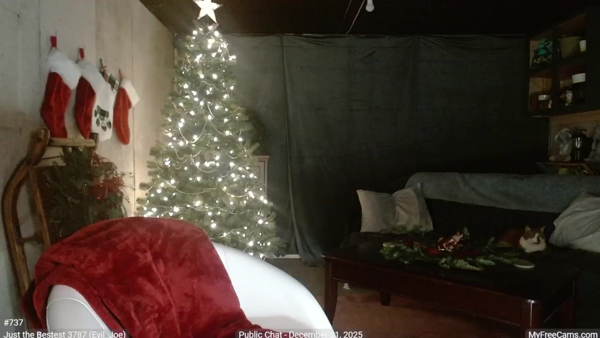 Gallery image thumbnail from KellyHeart's myfreecams stream on, 12/22/2025, 06:55 image 14 of 20