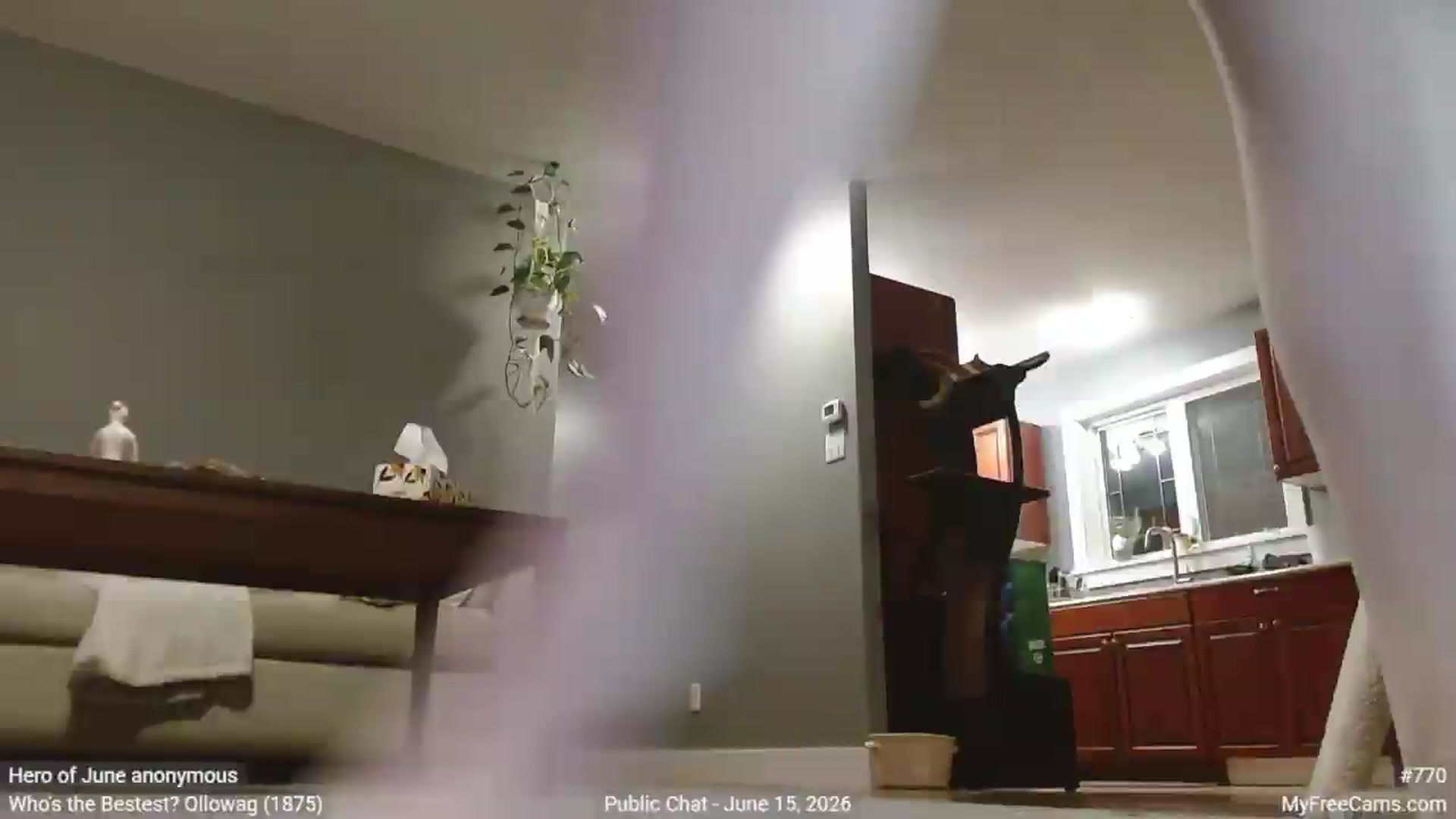 Gallery image thumbnail from KellyHeart's myfreecams stream on, 06/16/2026, 03:05 image 12 of 20