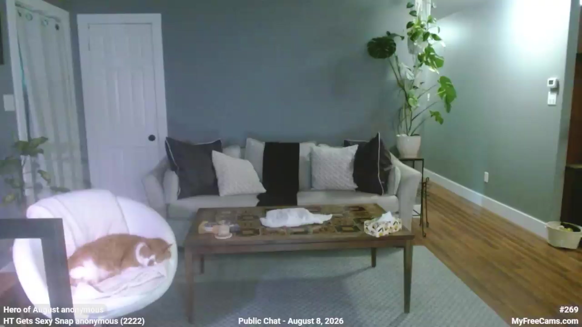 Gallery image thumbnail from KellyHeart's myfreecams stream on, 08/08/2026, 18:00 image 20 of 20