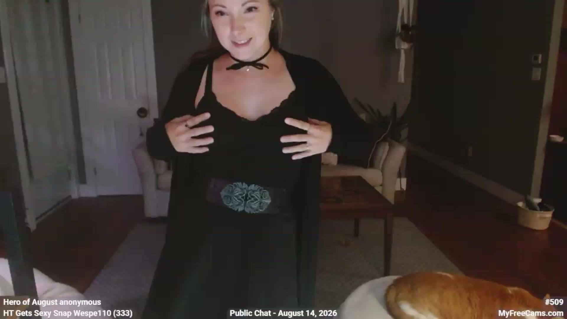 Gallery image thumbnail from KellyHeart's myfreecams stream on, 08/15/2026, 03:58 image 12 of 20
