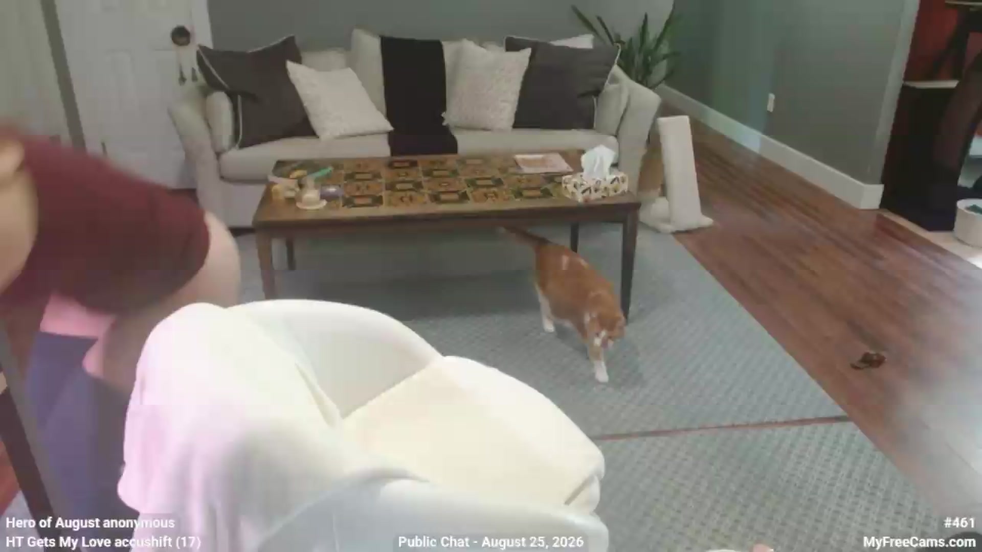 Gallery image thumbnail from KellyHeart's myfreecams stream on, 08/25/2026, 13:11 image 16 of 20