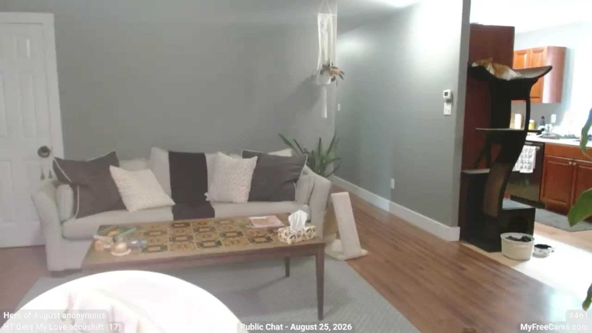 Gallery image thumbnail from KellyHeart's myfreecams stream on, 08/25/2026, 13:11 image 4 of 20