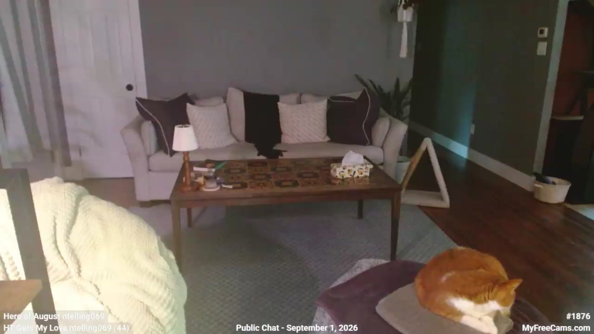 Gallery image thumbnail from KellyHeart's myfreecams stream on, 09/01/2026, 20:01 image 17 of 20