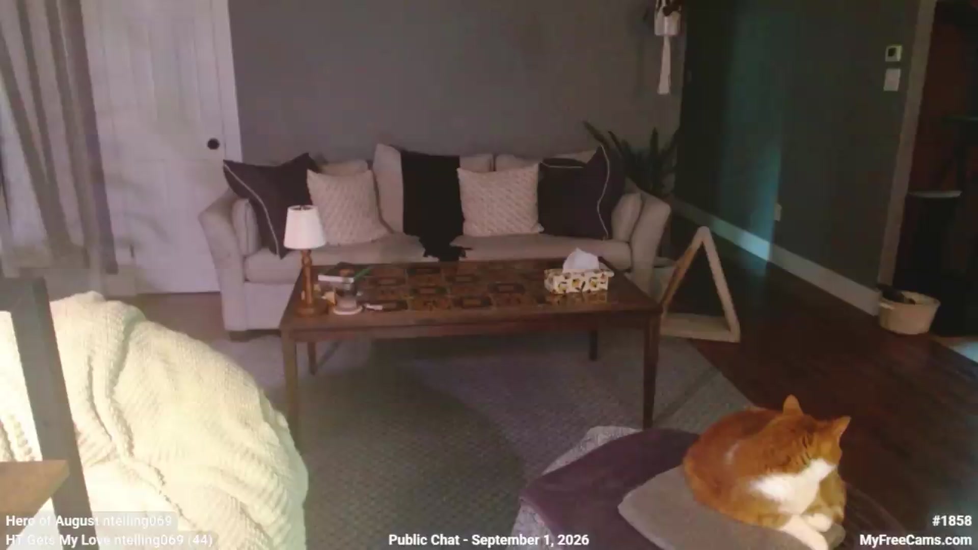 Gallery image thumbnail from KellyHeart's myfreecams stream on, 09/01/2026, 20:01 image 15 of 20
