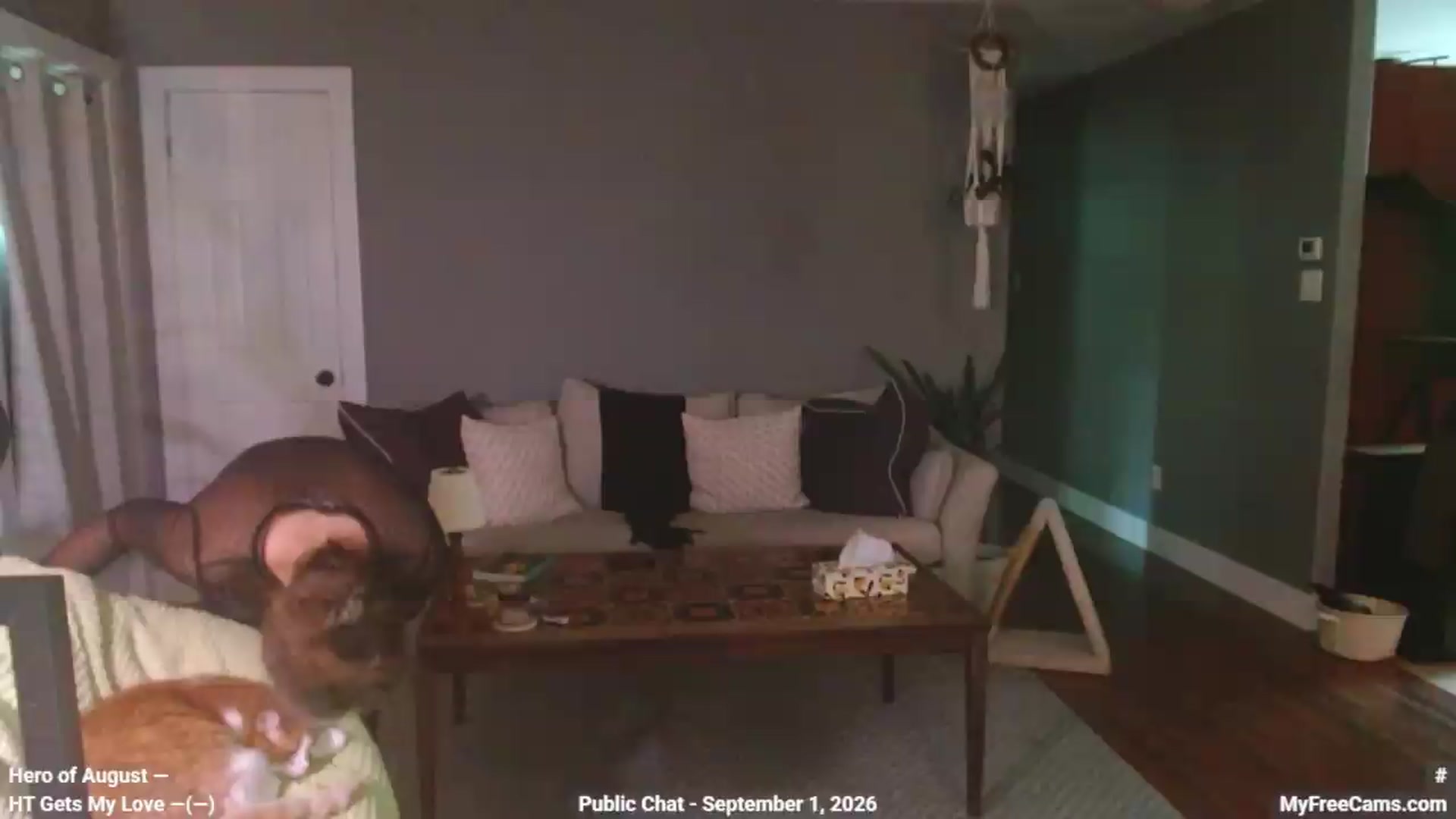 Gallery image thumbnail from KellyHeart's myfreecams stream on, 09/01/2026, 20:01 image 1 of 20