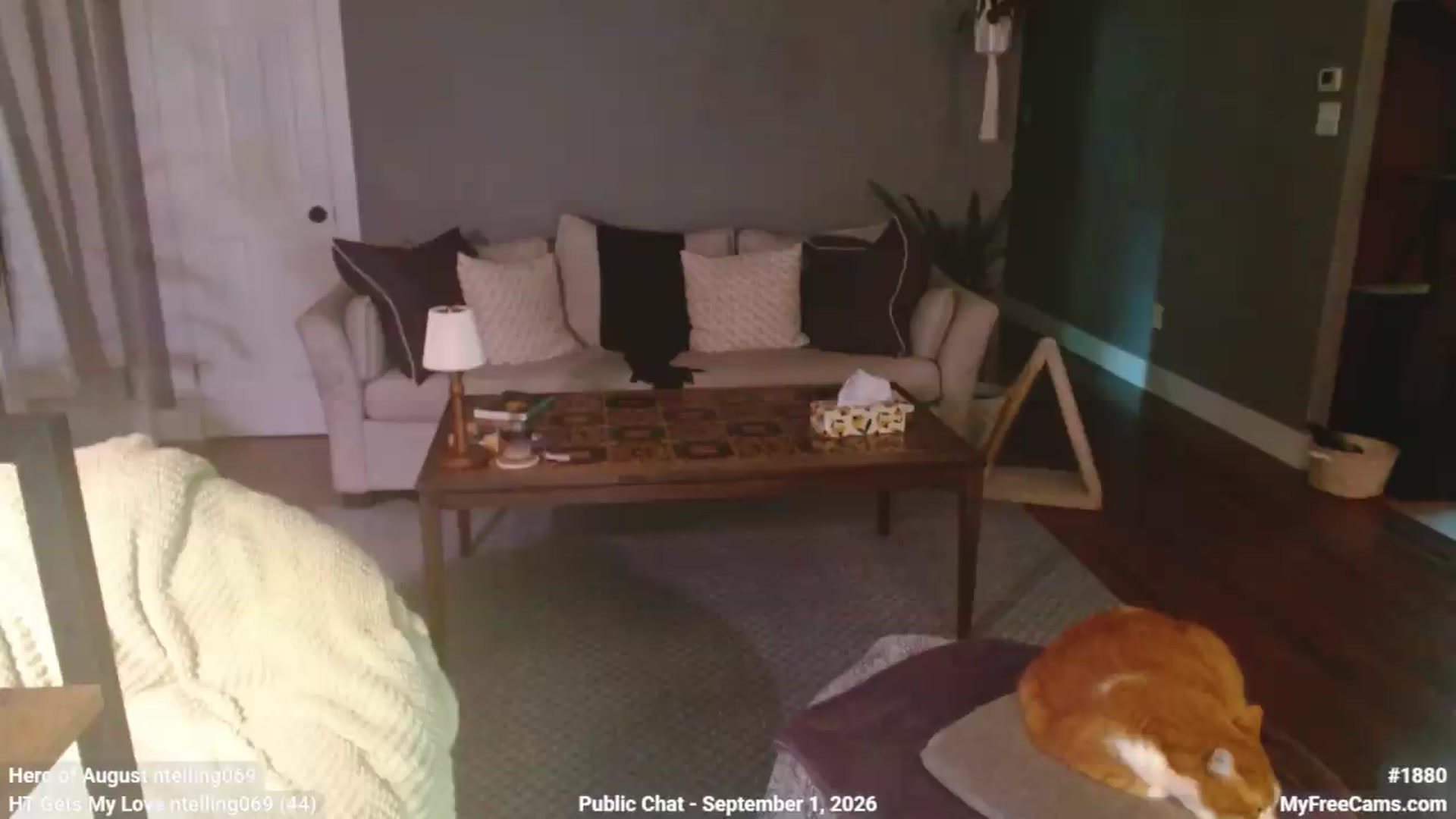 Gallery image thumbnail from KellyHeart's myfreecams stream on, 09/01/2026, 20:01 image 18 of 20