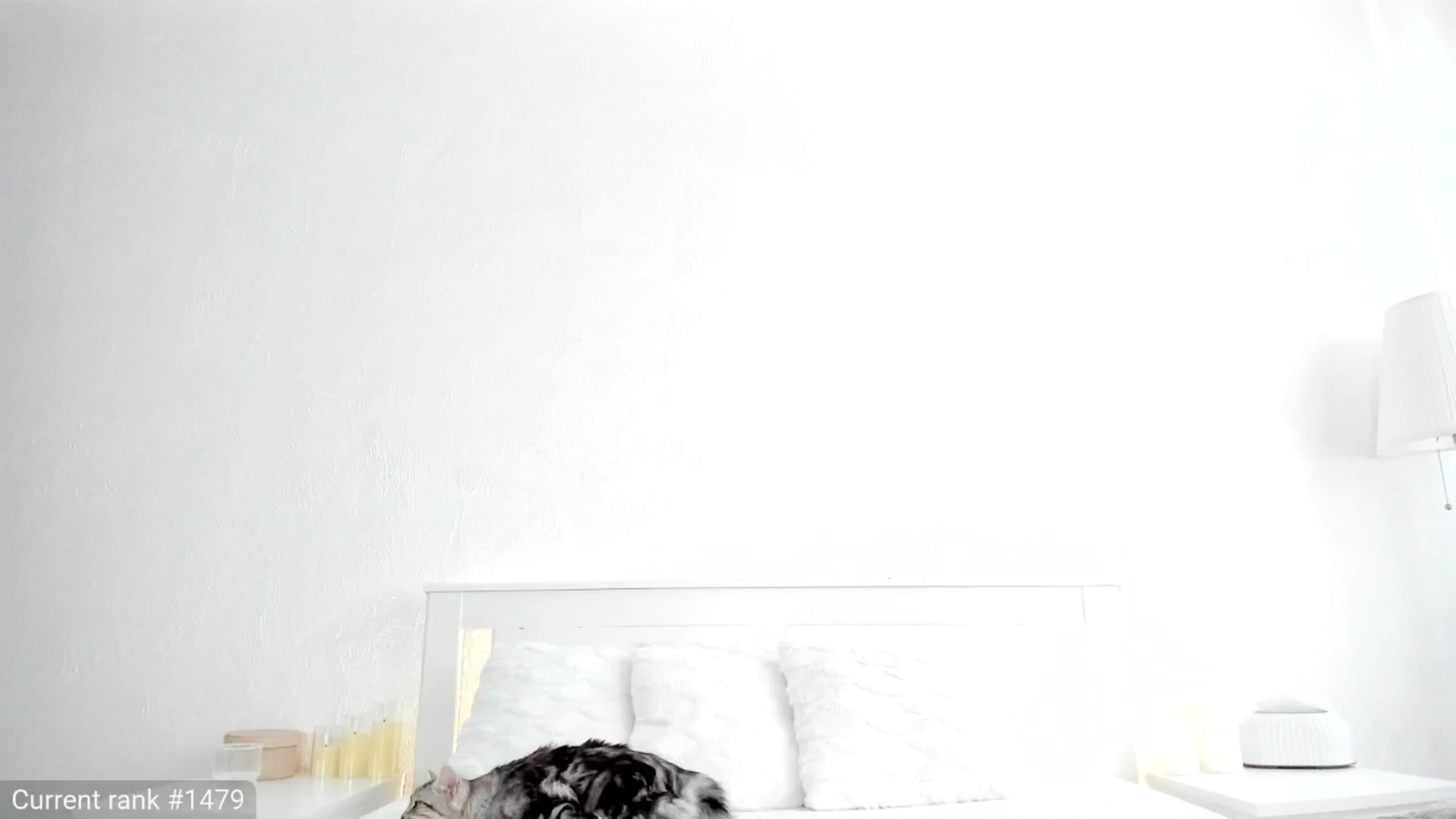 Gallery image thumbnail from KellyK's myfreecams stream on, 04/18/2025, 07:56 image 16 of 20