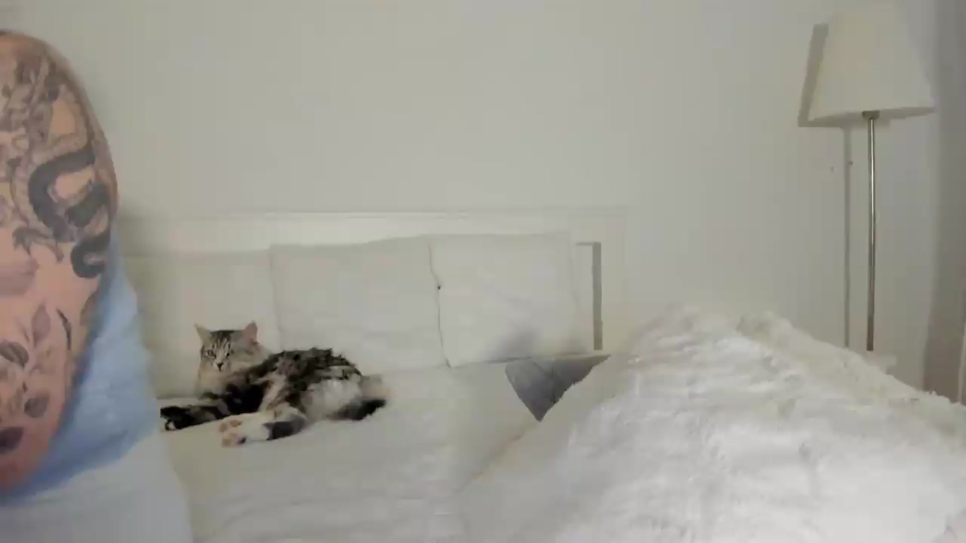 Gallery image thumbnail from KellyK's myfreecams stream on, 07/27/2026, 13:58 image 14 of 20