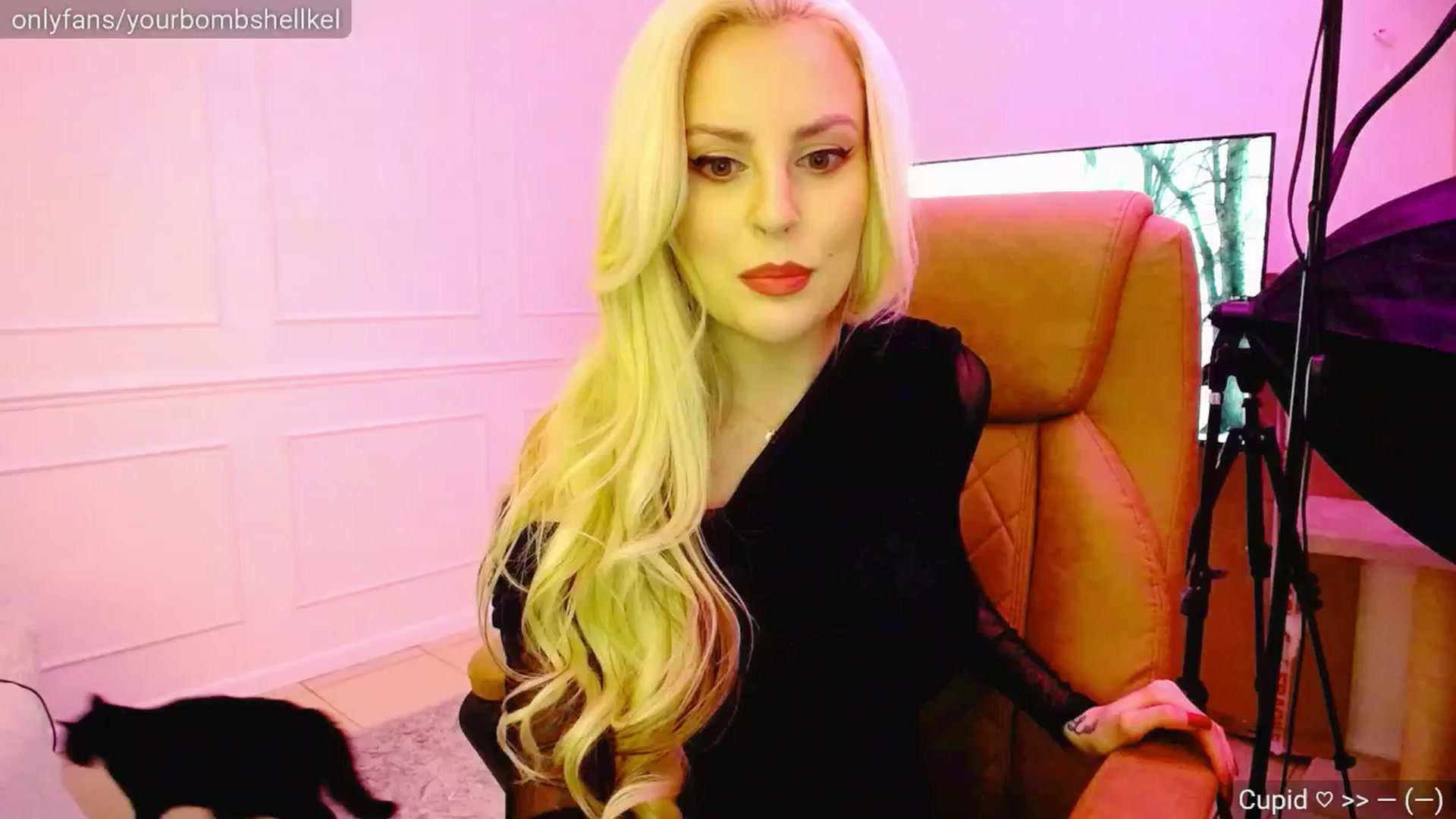 Gallery image thumbnail from KellyKisses's myfreecams stream on, 03/05/2025, 22:05 image 12 of 20
