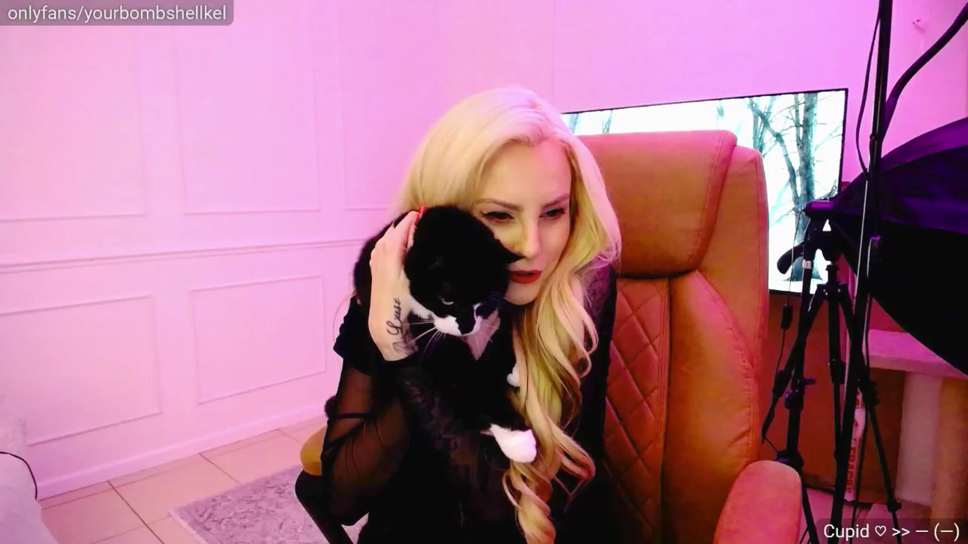 Gallery image thumbnail from KellyKisses's myfreecams stream on, 03/05/2025, 22:05 image 6 of 20