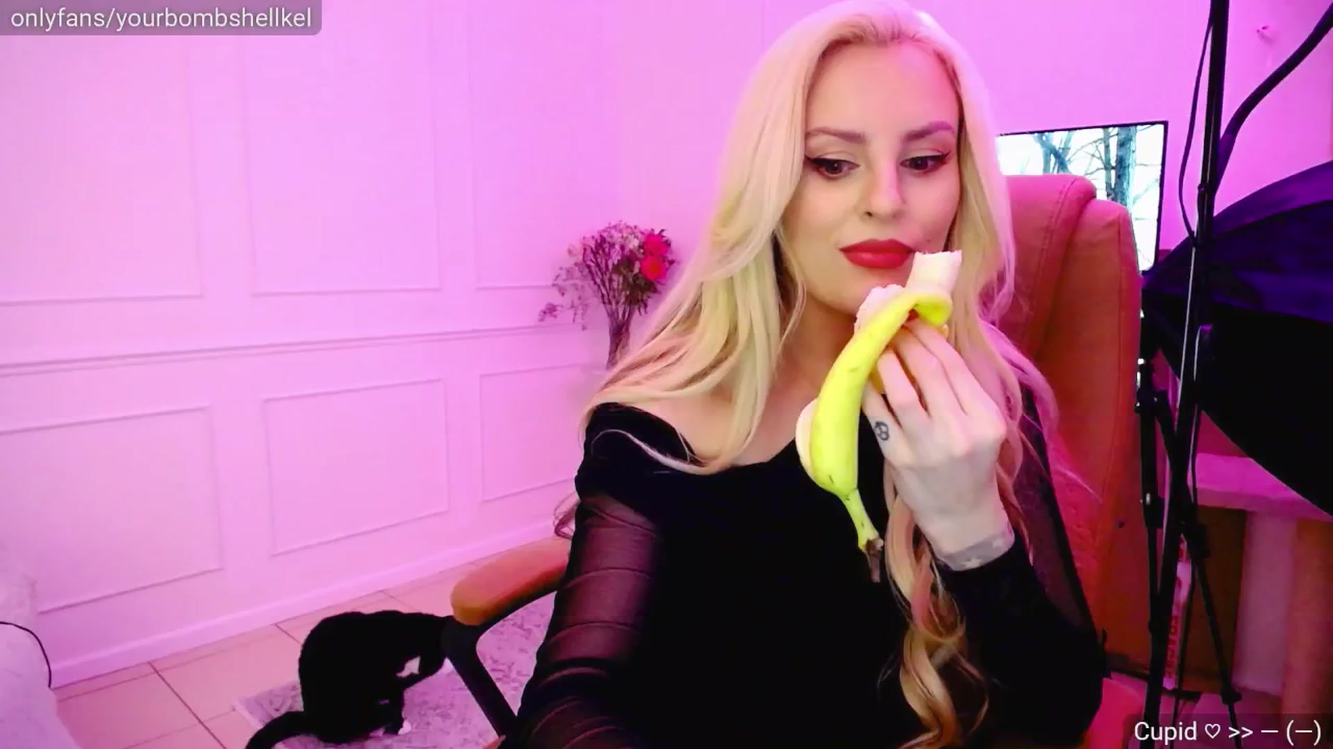 Gallery image thumbnail from KellyKisses's myfreecams stream on, 03/05/2025, 22:05 image 3 of 20