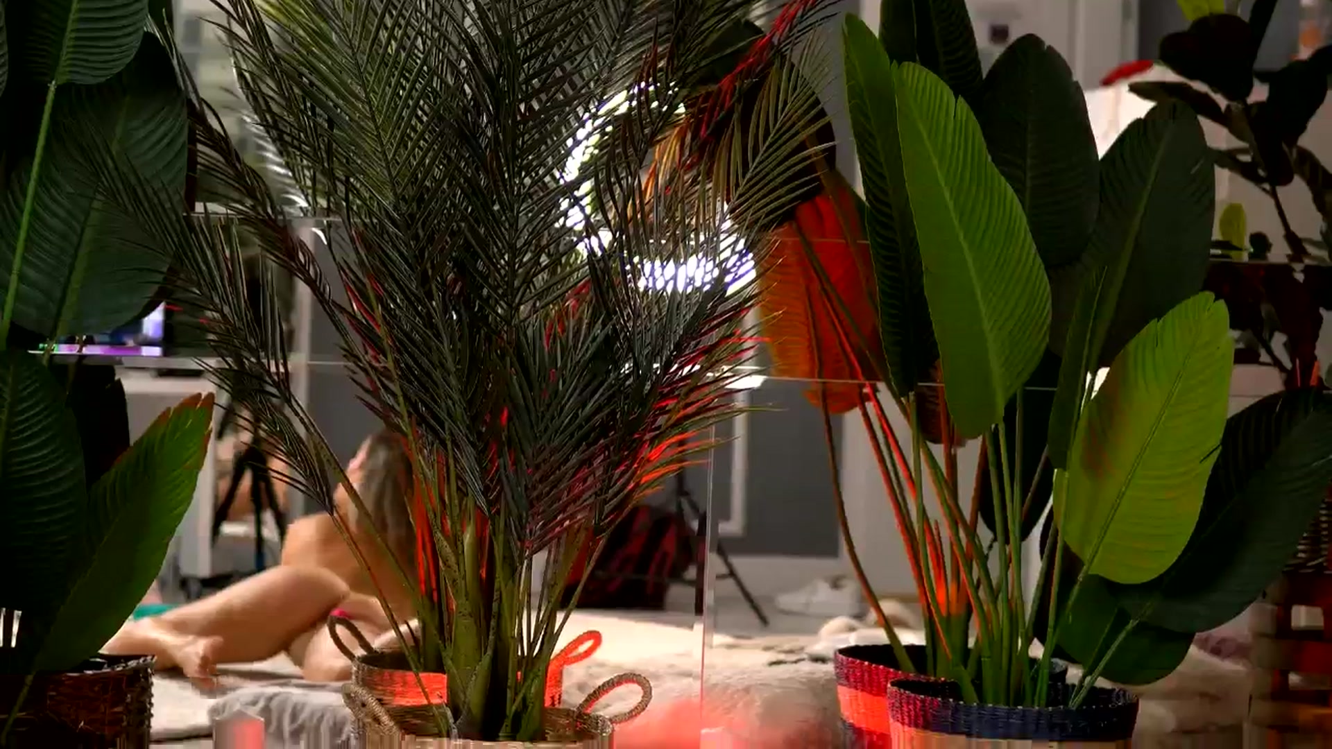 Gallery image thumbnail from KellyMathews's myfreecams stream on, 07/28/2025, 03:18 image 5 of 20