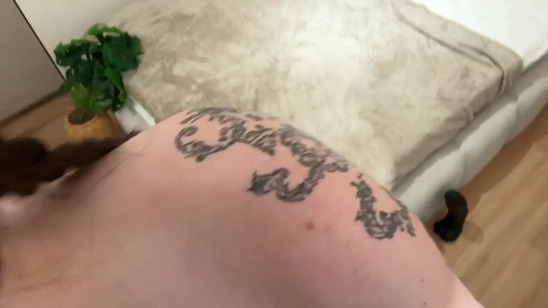 Gallery image thumbnail from Kelly_Grey's myfreecams stream on, 10/12/2025, 12:53 image 4 of 20