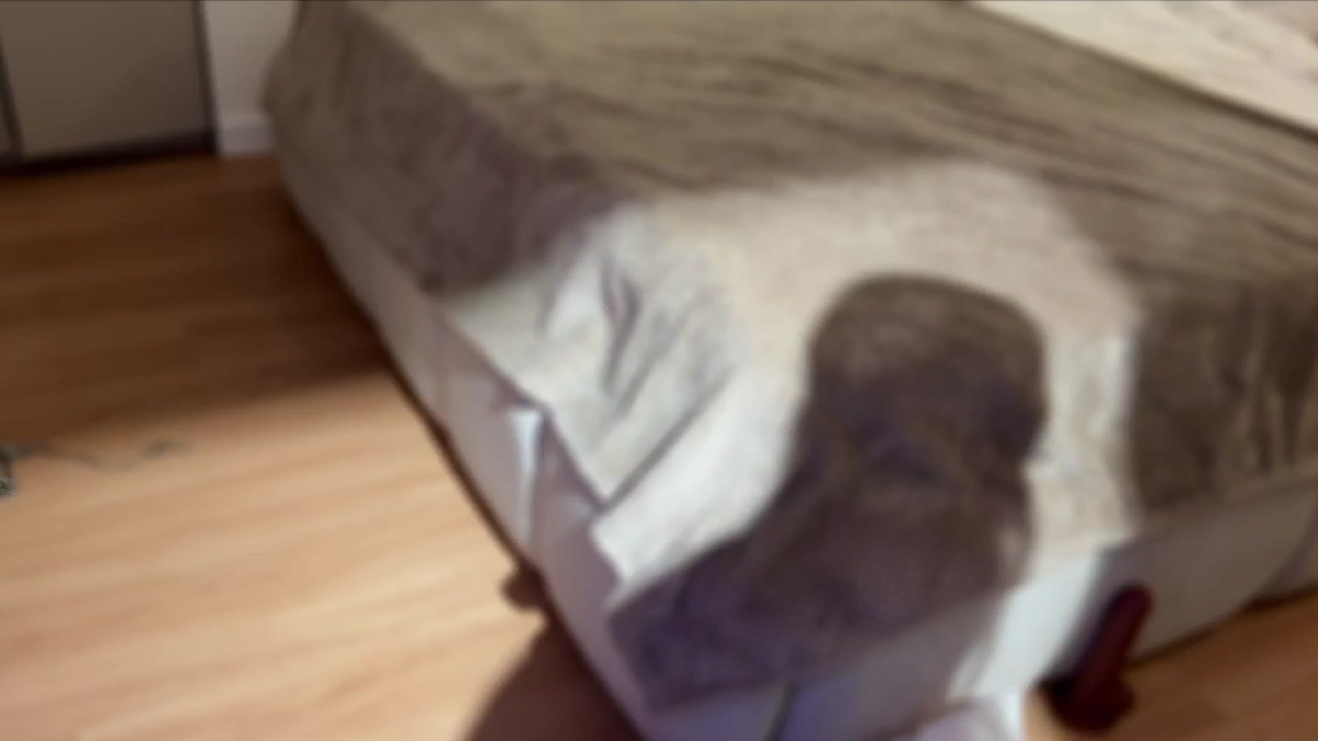 Gallery image thumbnail from Kelly_Grey's myfreecams stream on, 10/27/2025, 10:06 image 1 of 20