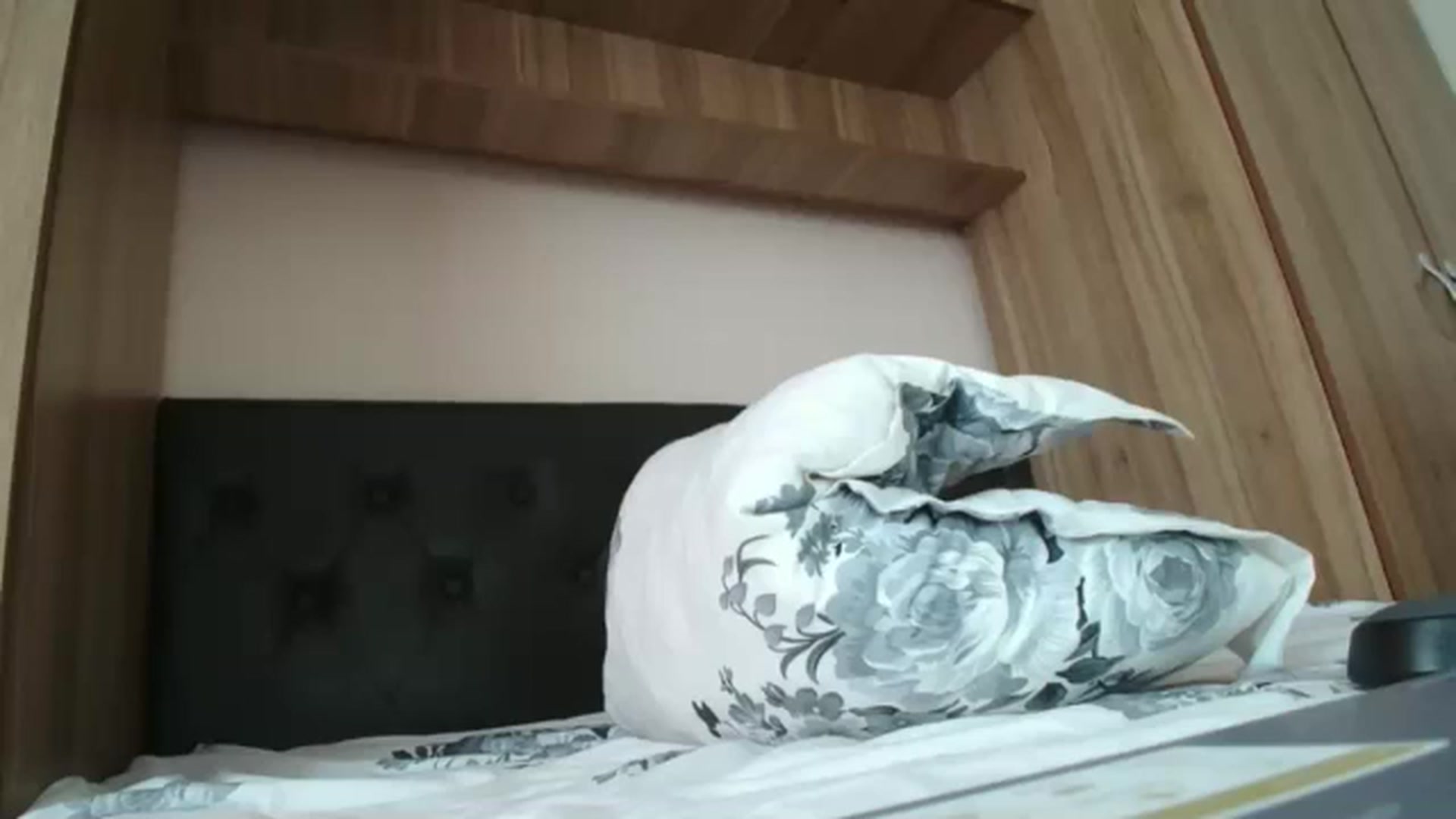 Gallery image thumbnail from KendaAishaa's myfreecams stream on, 08/10/2024, 11:03 image 3 of 20