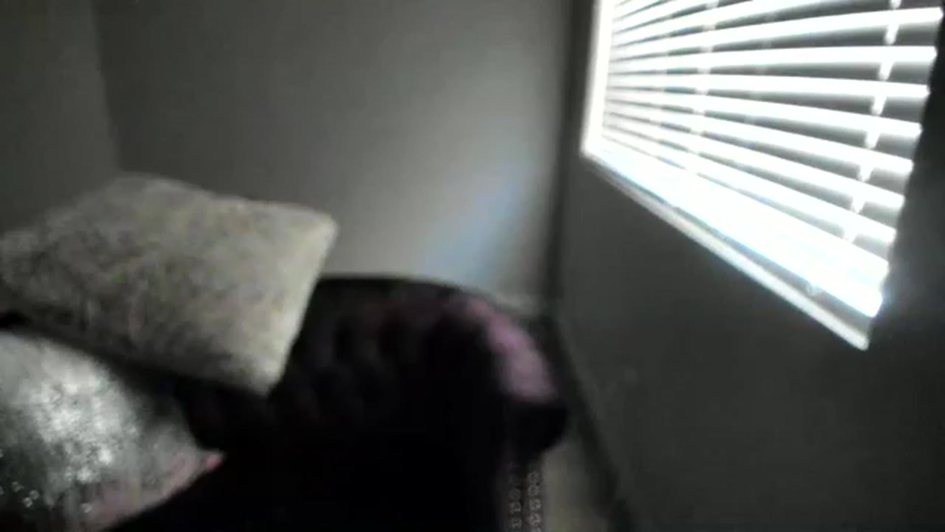 Gallery image thumbnail from KendallKayden's myfreecams stream on, 05/30/2023, 15:04 image 3 of 20