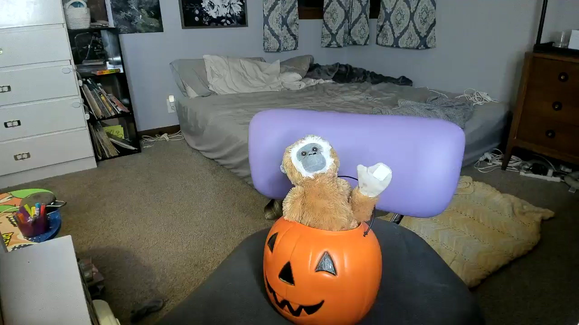 Gallery image thumbnail from KennaKind's myfreecams stream on, 07/22/2024, 03:55 image 7 of 20