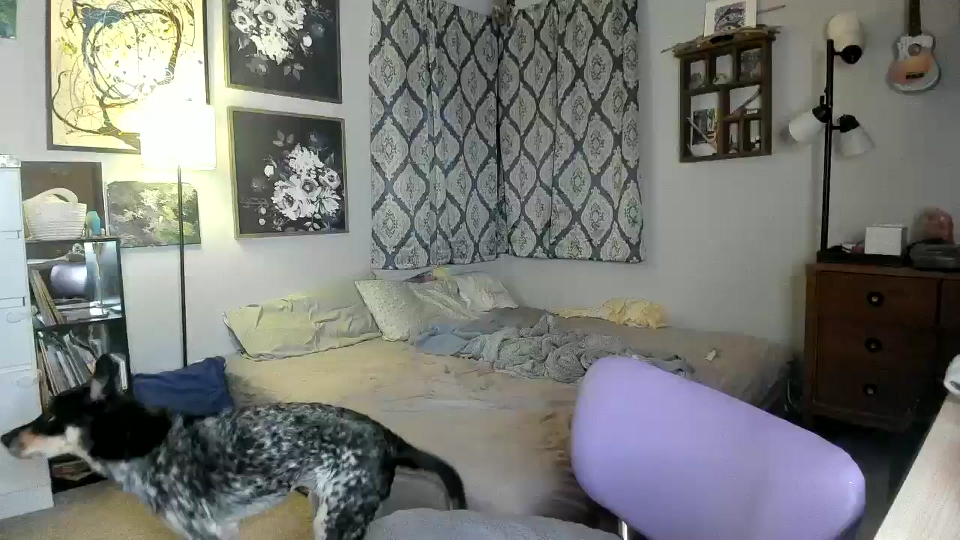 Gallery image thumbnail from KennaKind's myfreecams stream on, 11/11/2024, 04:20 image 10 of 20