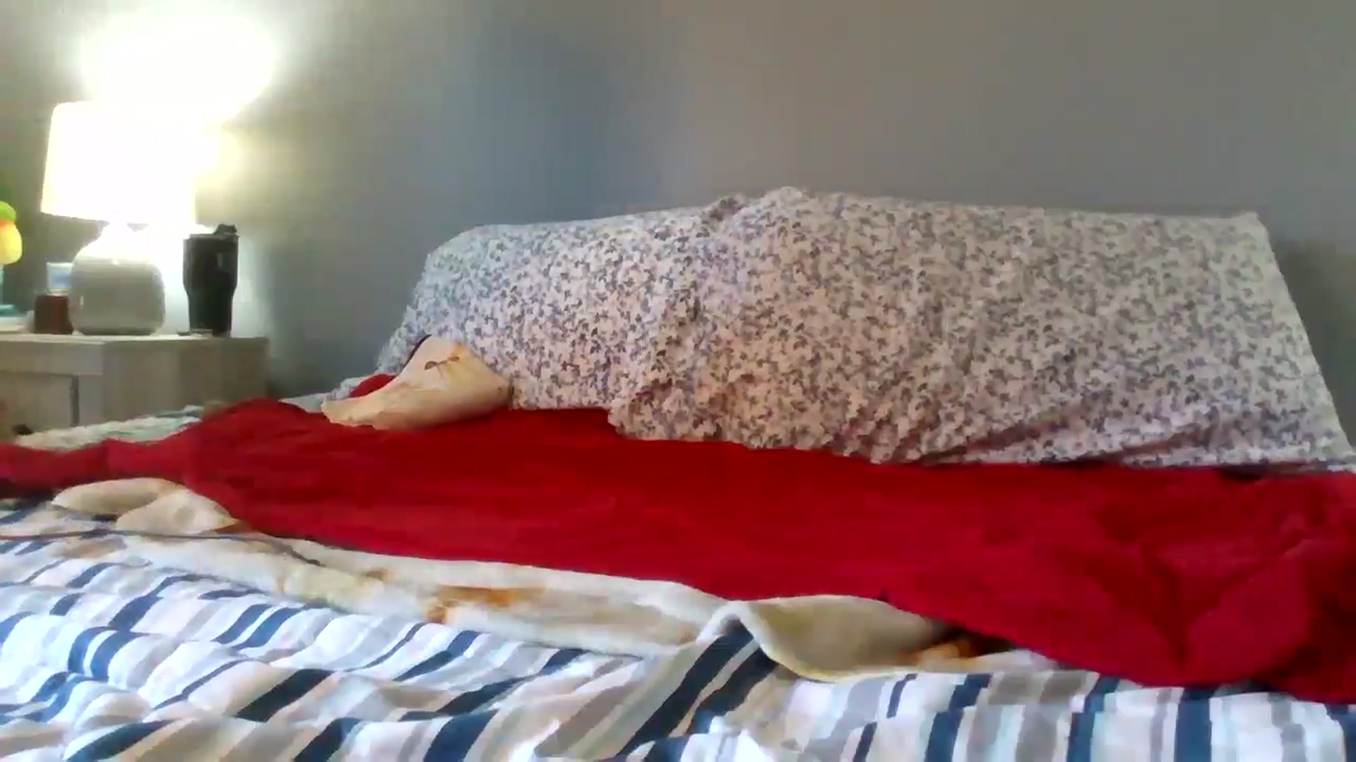 Gallery image thumbnail from Kennedy_River's myfreecams stream on, 08/21/2024, 24:23 image 2 of 20