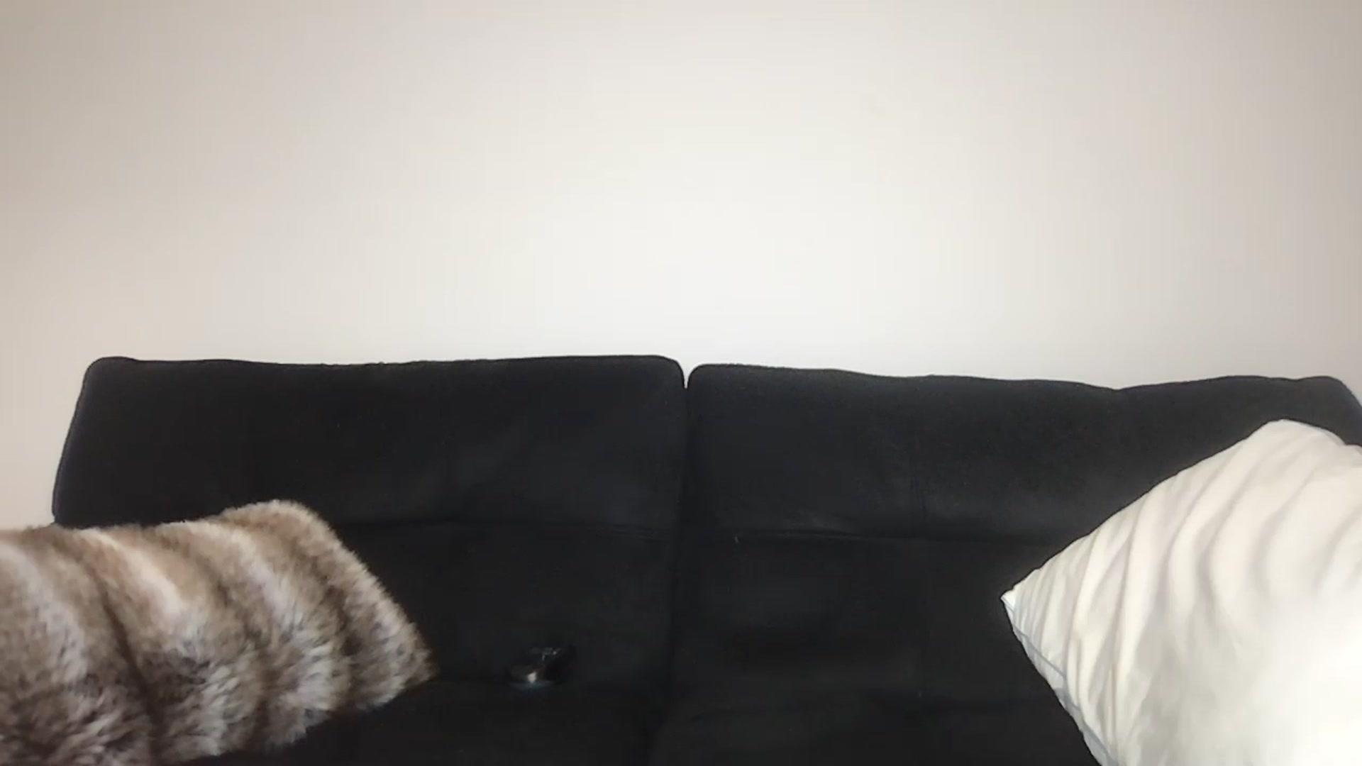 Gallery image thumbnail from Kennyxo's myfreecams stream on, 08/11/2025, 02:36 image 10 of 20