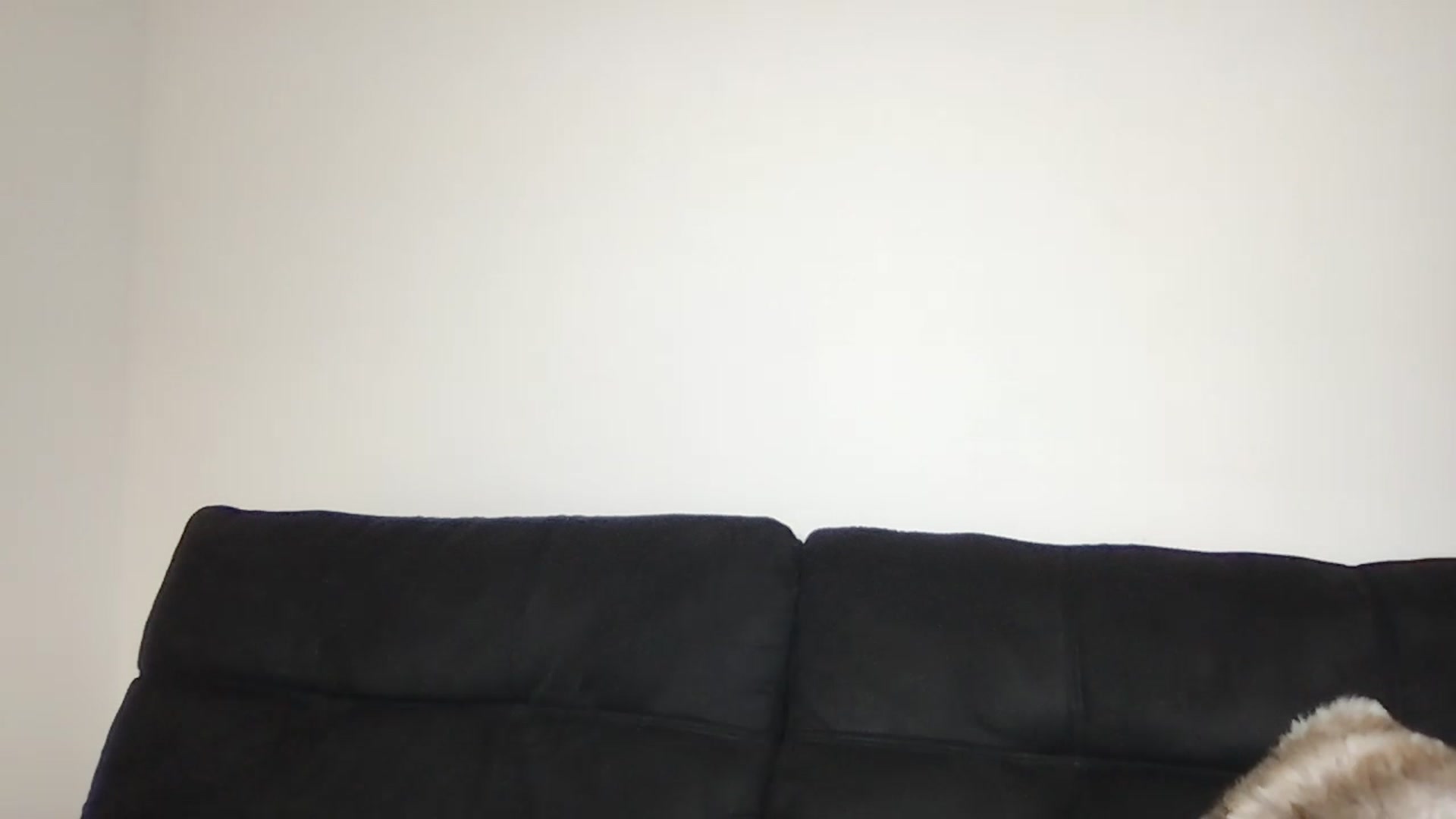 Gallery image thumbnail from Kennyxo's myfreecams stream on, 08/24/2025, 02:43 image 6 of 20