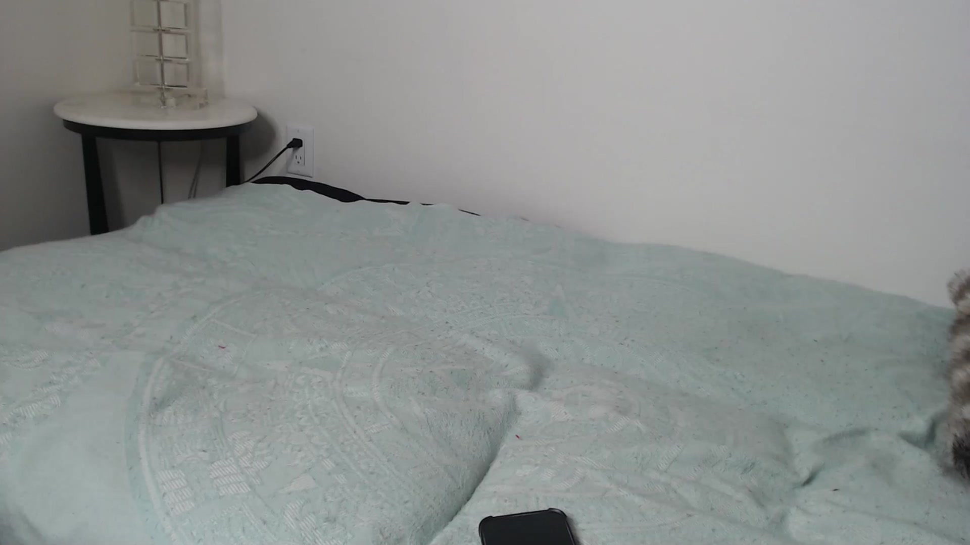 Gallery image thumbnail from Kennyxo's myfreecams stream on, 11/19/2025, 03:56 image 16 of 20