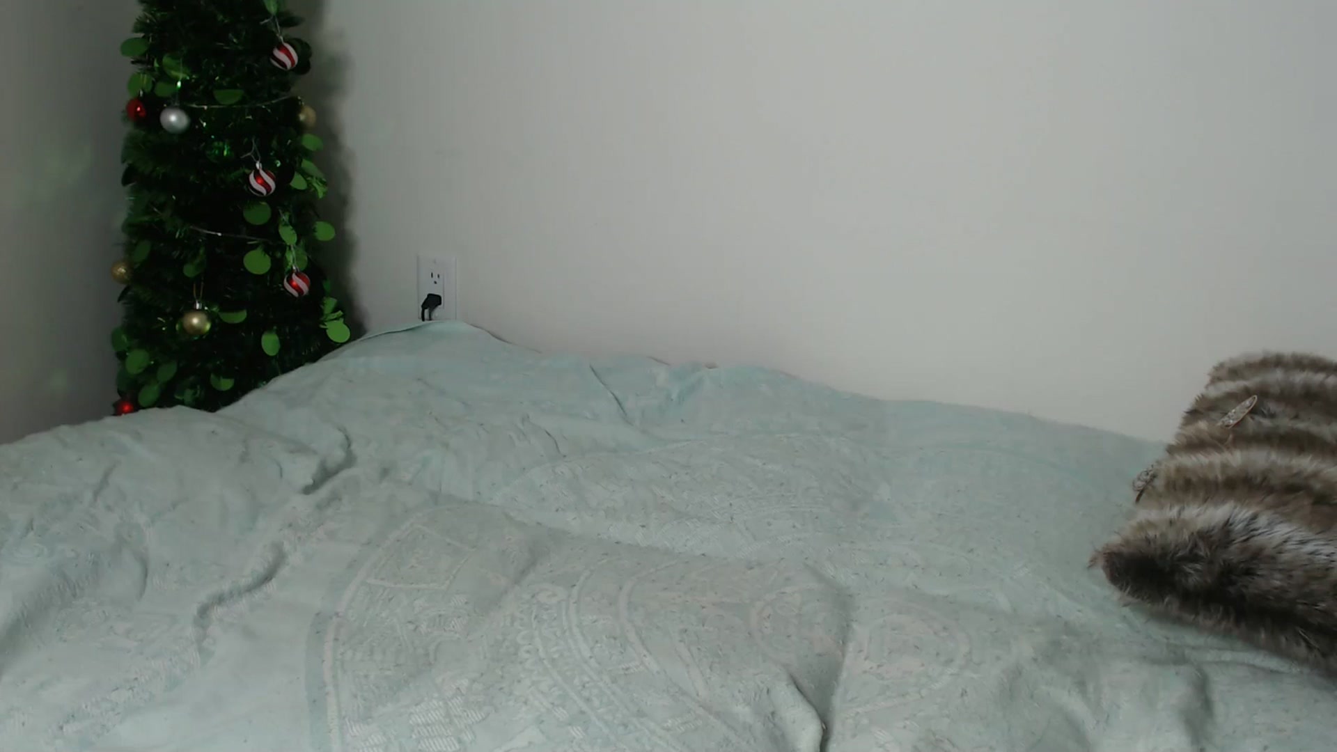 Gallery image thumbnail from Kennyxo's myfreecams stream on, 11/27/2025, 24:01 image 1 of 20