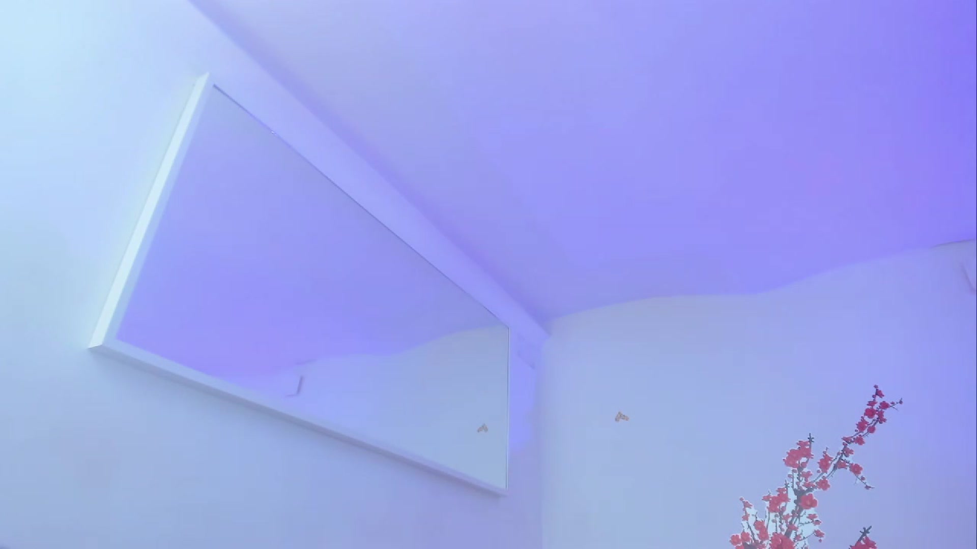 Gallery image thumbnail from KenzieDawton's myfreecams stream on, 03/26/2023, 19:22 image 9 of 20