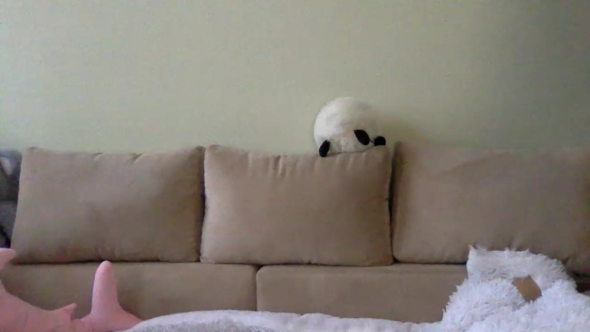 Gallery image thumbnail from Keyssi_li's myfreecams stream on, 12/18/2022, 13:54 image 4 of 20