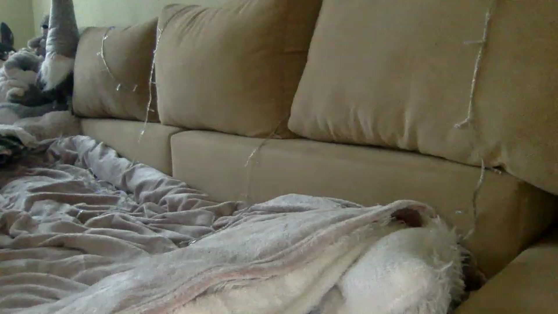 Gallery image thumbnail from Keyssi_li's myfreecams stream on, 12/22/2022, 12:52 image 4 of 20