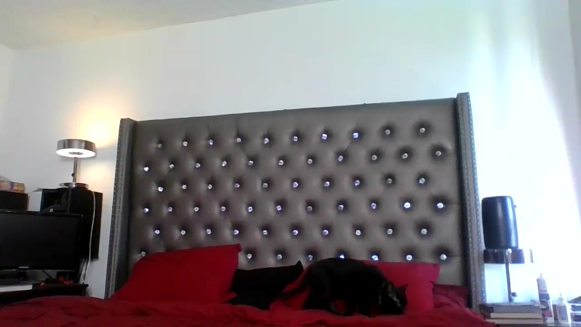 Gallery image thumbnail from Kezzlovesyou's myfreecams stream on, 03/10/2025, 18:14 image 3 of 20