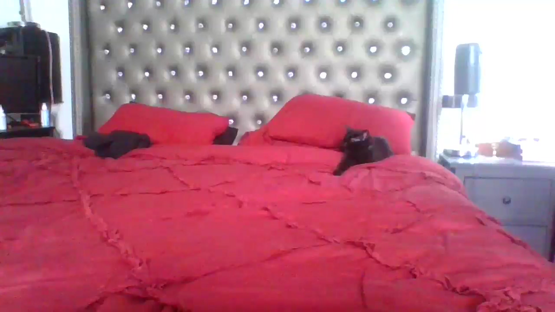 Gallery image thumbnail from Kezzlovesyou's myfreecams stream on, 03/11/2025, 20:25 image 20 of 20