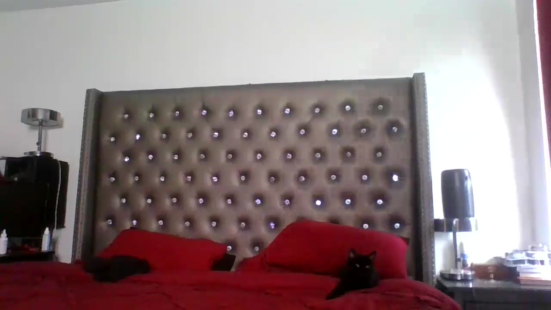 Gallery image thumbnail from Kezzlovesyou's myfreecams stream on, 03/11/2025, 20:25 image 13 of 20