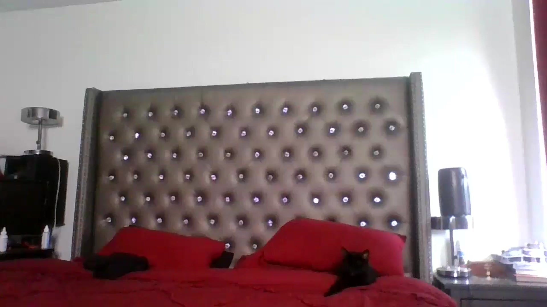 Gallery image thumbnail from Kezzlovesyou's myfreecams stream on, 03/11/2025, 20:25 image 14 of 20