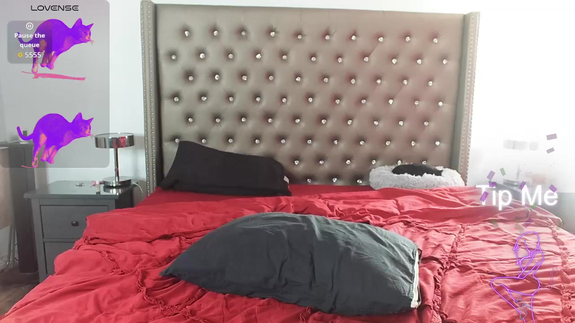 Gallery image thumbnail from Kezzlovesyou's myfreecams stream on, 01/02/2026, 24:05 image 8 of 20