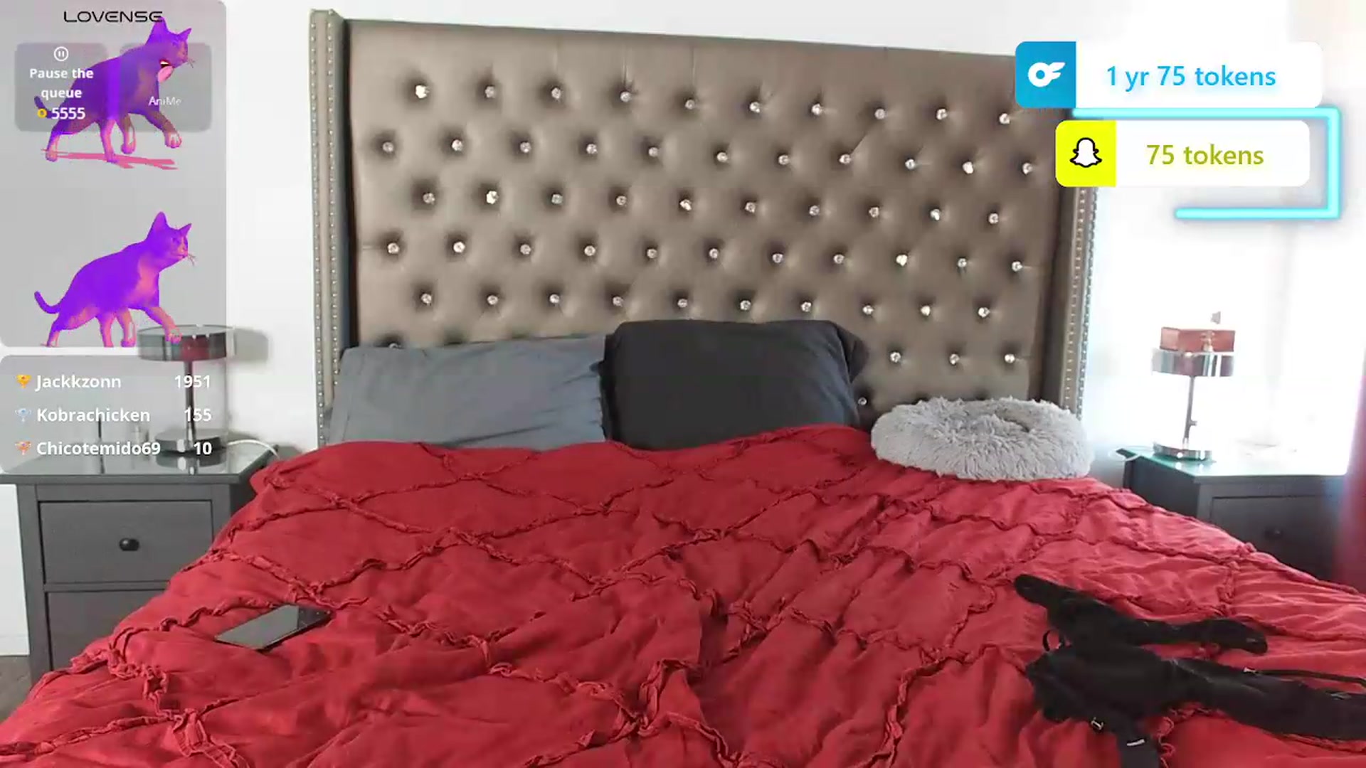 Gallery image thumbnail from Kezzlovesyou's myfreecams stream on, 08/06/2026, 24:18 image 16 of 20