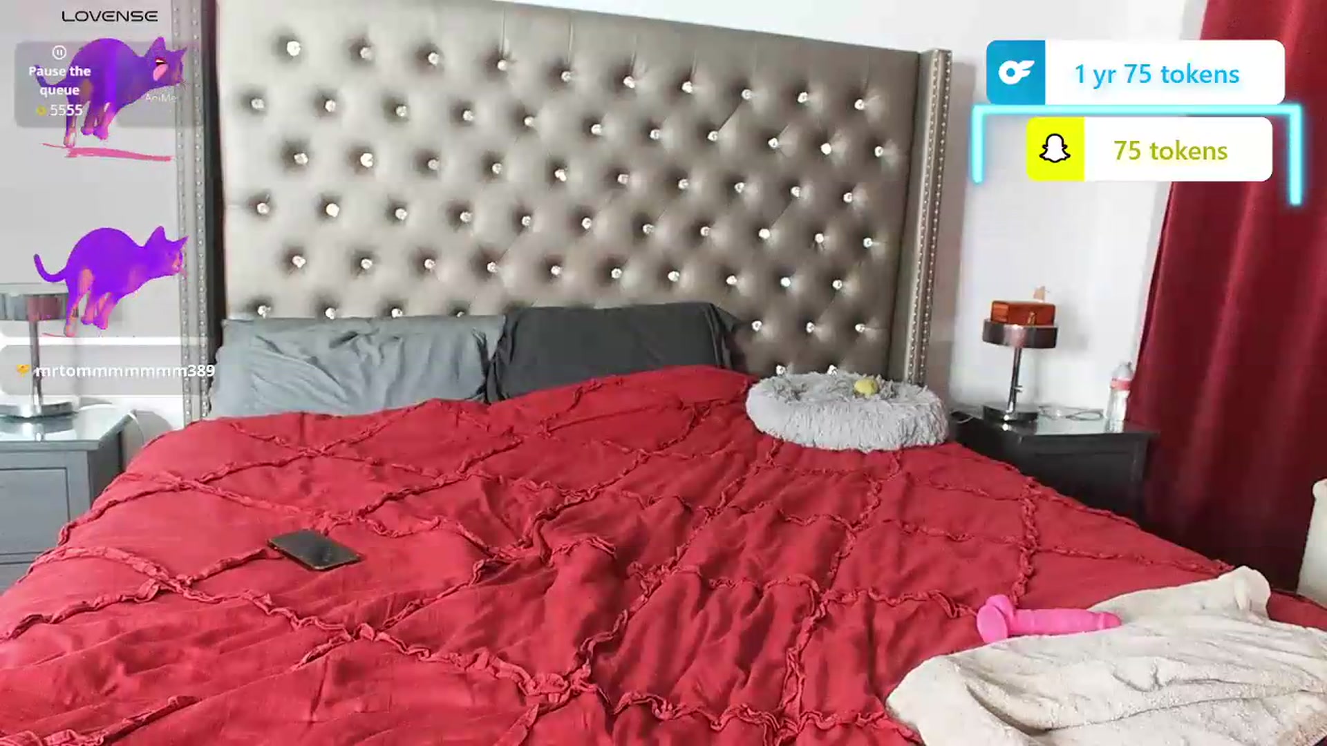 Gallery image thumbnail from Kezzlovesyou's myfreecams stream on, 08/07/2026, 04:55 image 18 of 20